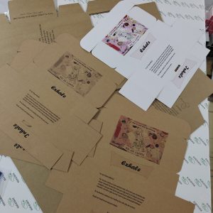 Fruity fit tea Boxes (brown or white boxes)